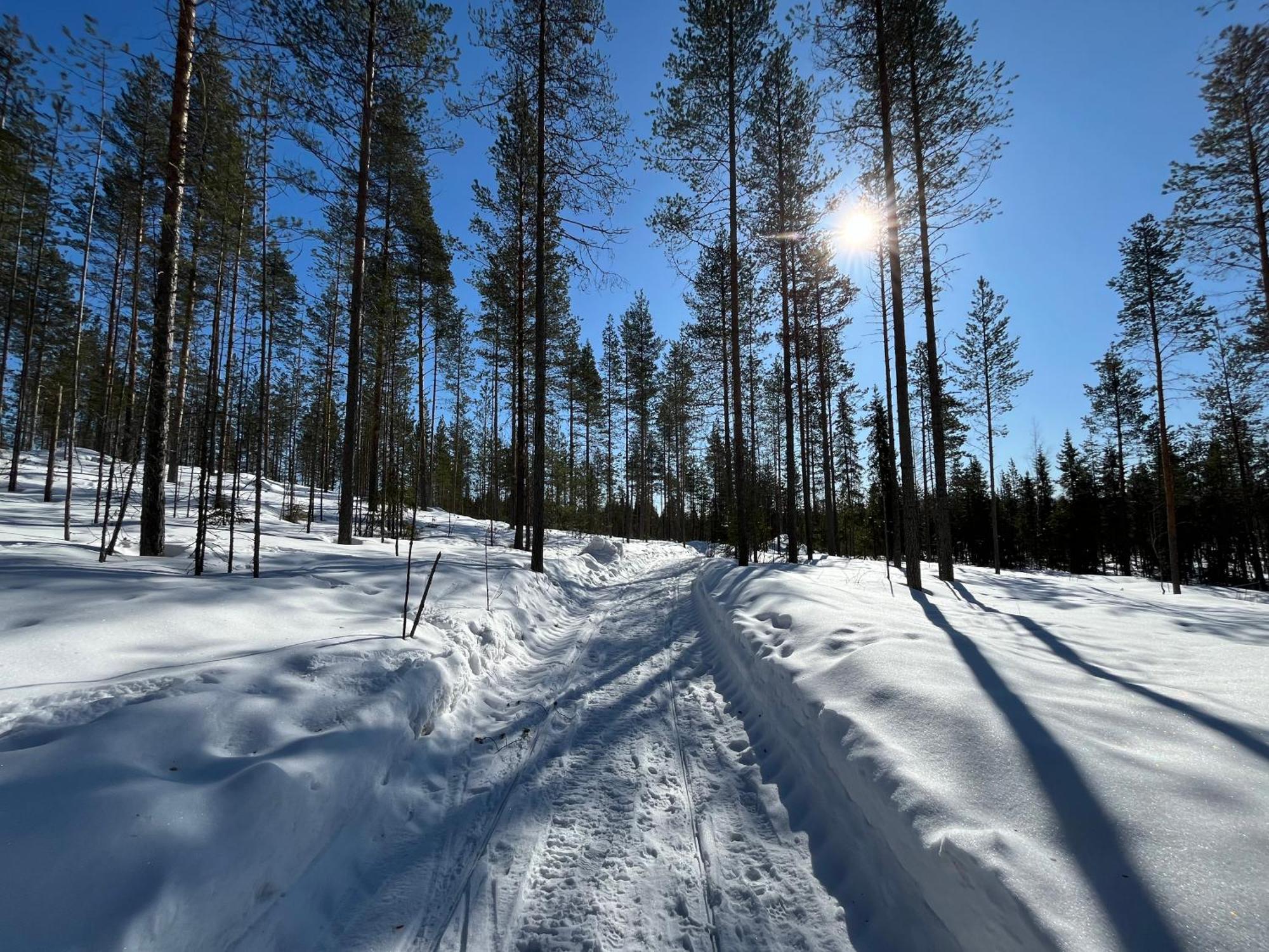 Log Cottages In 10 Min From Santa Claus Village-Sauna&Freeparking Rovaniemi Exterior foto
